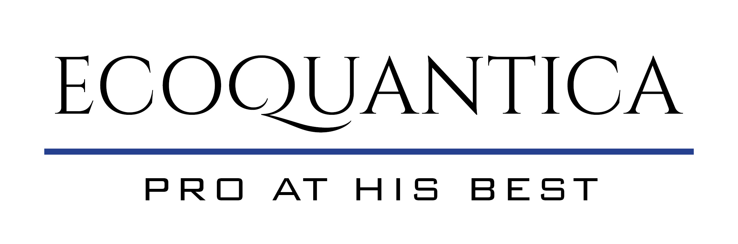 logo ecoquantica